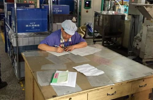 From Silicon Valley to Suzhou Workshop: A Returnee's Code Journey and Shanghai's Industrial Service Initiative